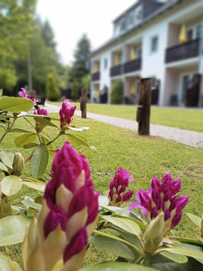 Gaestehaus Falkenhof Westensee Exterior foto